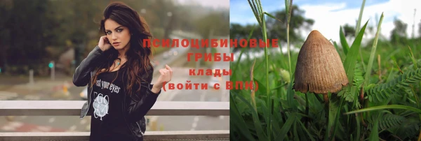 индика Алзамай