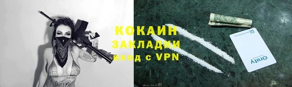 тгк Алексин