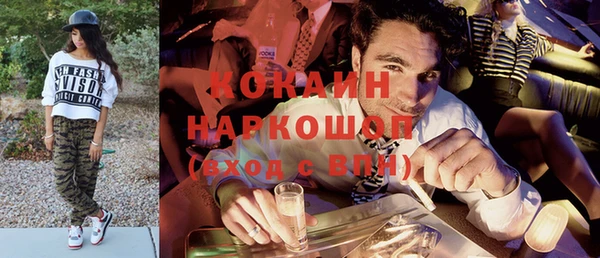 индика Алзамай