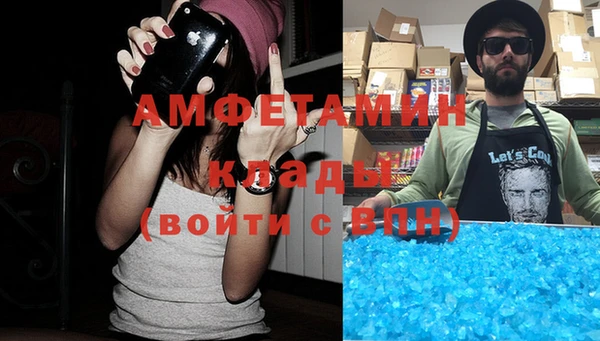 индика Алзамай