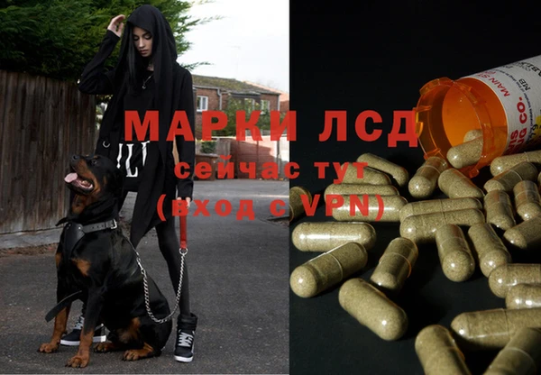 тгк Алексин