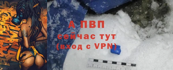 тгк Алексин