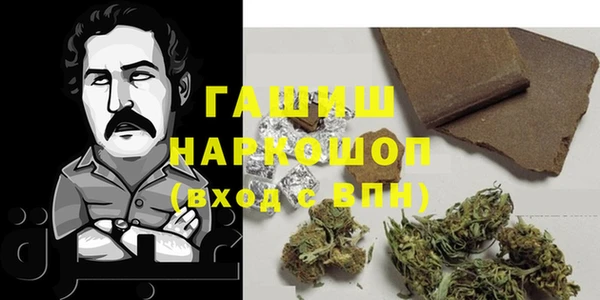 индика Алзамай