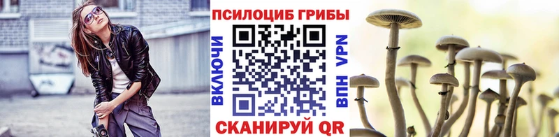 кракен ТОР  как найти наркотики  Чистополь  Псилоцибиновые грибы мухоморы 