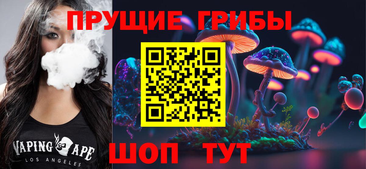 Чистополь  Псилоцибиновые грибы мицелий  Вход с VPN 